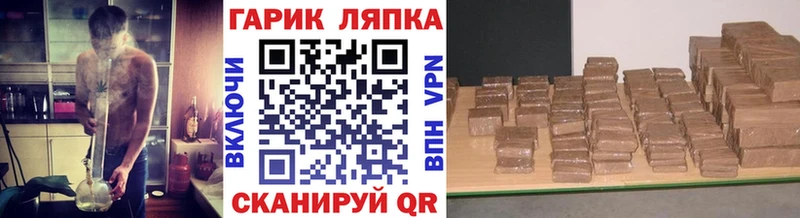 где продают наркотики  Шадринск  ГАШИШ индика сатива 