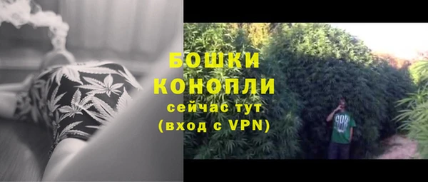 первитин Белокуриха