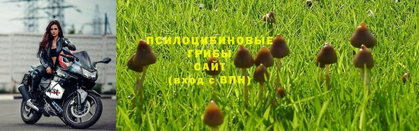 2c-b Беломорск