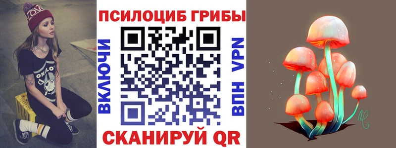 Псилоцибиновые грибы Magic Shrooms продажа наркотиков Шадринск