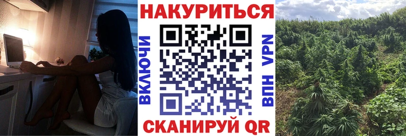 Канабис OG Kush  закладка  Шадринск 